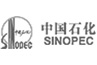 开云体云app(中国)官方网站