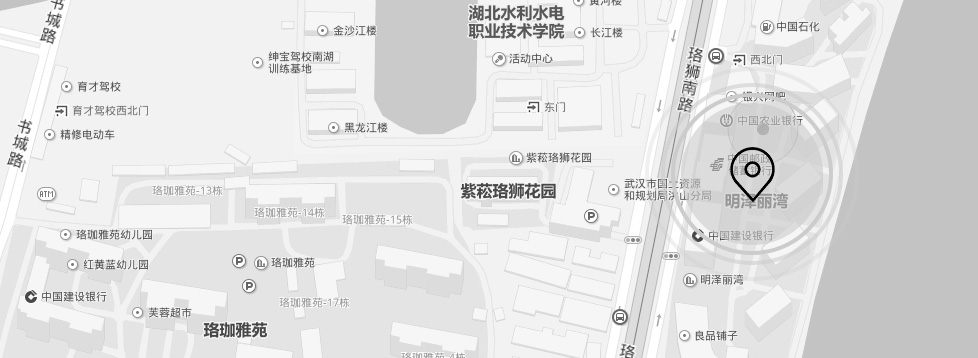 开云体云app(中国)官方网站