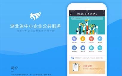 开云体云app(中国)官方网站