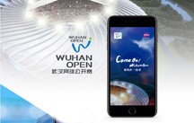 开云体云app(中国)官方网站