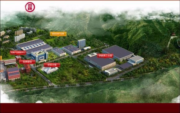 开云体云app(中国)官方网站