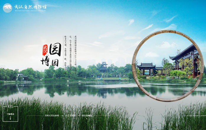 开云体云app(中国)官方网站